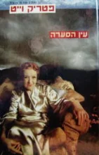 עטיפת הספר עין הסערה