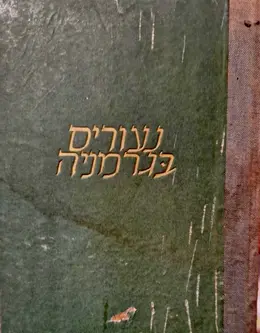 עטיפת הספר נעורים בגרמניה