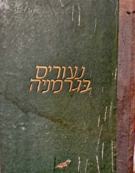 עטיפת הספר נעורים בגרמניה