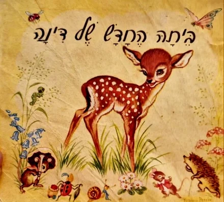 עטיפת הספר ביתה החדש של דינה