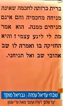 עטיפת הספר שבחי עדיאל עמזה עד עולם ועידו ועינם מאת שי עגנון