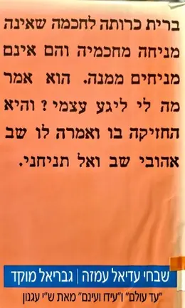 עטיפת הספר שבחי עדיאל עמזה עד עולם ועידו ועינם מאת שי עגנון