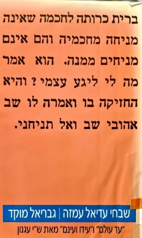 עטיפת הספר שבחי עדיאל עמזה עד עולם ועידו ועינם מאת שי עגנון