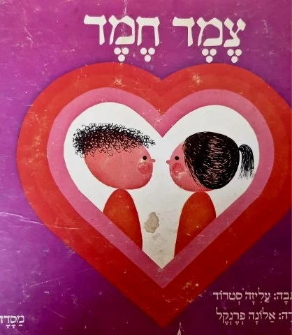 עטיפת הספר צמד חמד