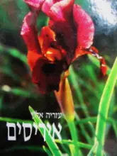 עטיפת הספר איריסים