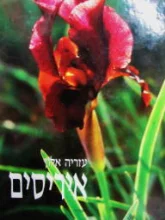 עטיפת הספר איריסים