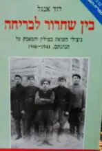 עטיפת הספר בין שחרור לבריחה