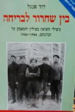 עטיפת הספר בין שחרור לבריחה