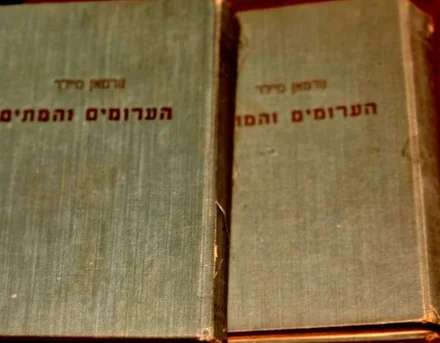 עטיפת הספר הערומים והמתים-2 כרכים-מהדורה ראשונה