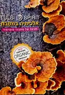 עטיפת הספר TOLSI AND SPIRIT אלכימיה במטבח חגיגה של מתכוני סופרפוד