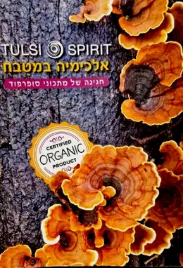 עטיפת הספר TOLSI AND SPIRIT אלכימיה במטבח חגיגה של מתכוני סופרפוד