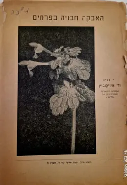 עטיפת הספר האבקה חבויה בפרחים