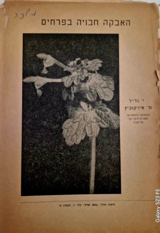 עטיפת הספר האבקה חבויה בפרחים
