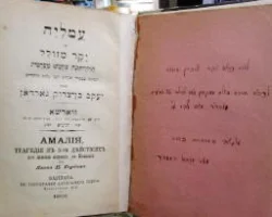 עטיפת הספר עמליה או יקר מזולל