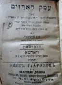 עטיפת הספר עמק הארזים