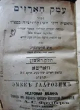 עטיפת הספר עמק הארזים