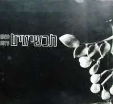 עטיפת הספר תכשיטים 1900 1976