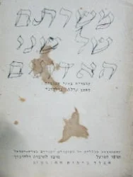 עטיפת הספר משרתם של שני האדונים