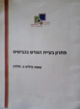 עטיפת הספר פתרון בעיית הגודש בכבישים