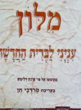 עטיפת הספר מלון עניני הברית החדשה