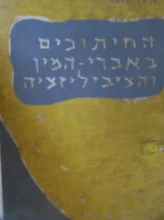 עטיפת הספר החיתוכים באברי המין והציביליזציה