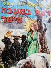 עטיפת הספר רצח במעבה היער