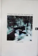 עטיפת הספר מה שחשבתי צל הוא הגוף האמיתי-כולל תקליטור