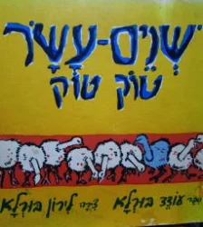 עטיפת הספר שנים עשר טוק טוק