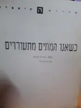 עטיפת הספר כשאנו המתים מתעוררים