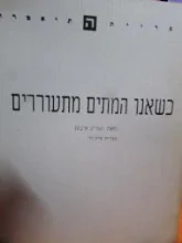 עטיפת הספר כשאנו המתים מתעוררים