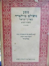 עטיפת הספר מסע משולם מוולטרה בארץ ישראל בשנת רמא 1481