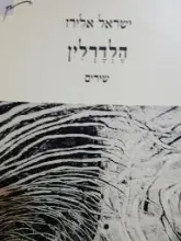 עטיפת הספר הלדרלין