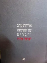 עטיפת הספר ארוחת ערב עם שפינוזה וחברים