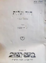 עטיפת הספר דוד וגלית