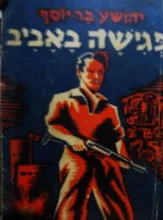 עטיפת הספר פגישה באביב