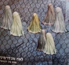 עטיפת הספר מסע בין הקמטים
