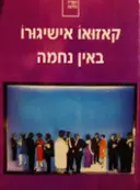 עטיפת הספר באין נחמה