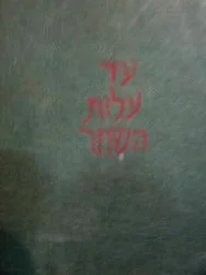 עטיפת הספר עד עלות השחר