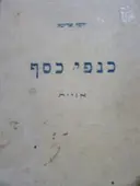 עטיפת הספר כנפי הכסף