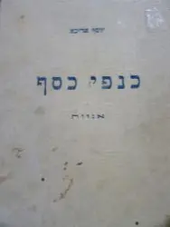 עטיפת הספר כנפי הכסף