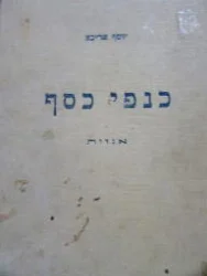 עטיפת הספר כנפי הכסף