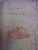 עטיפת הספר האח האובד