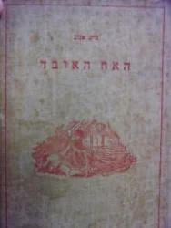 עטיפת הספר האח האובד