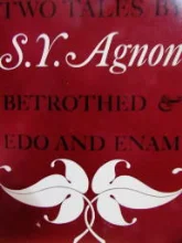 עטיפת הספר betrothed and edo and anam