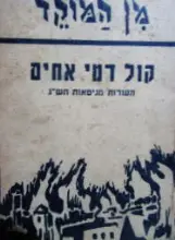 עטיפת הספר קול דמי אחים