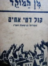עטיפת הספר קול דמי אחים