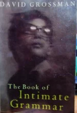 עטיפת הספר the book of intimate grammar