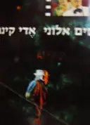 עטיפת הספר אדי קינג