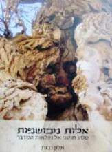 עטיפת הספר אלות מכושפות 