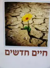 עטיפת הספר חיים חדשים